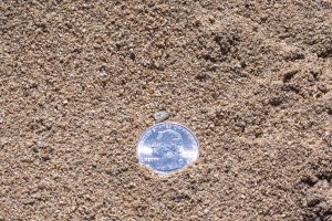 Sand displayed with 25 cent quarter for relative size comparison.